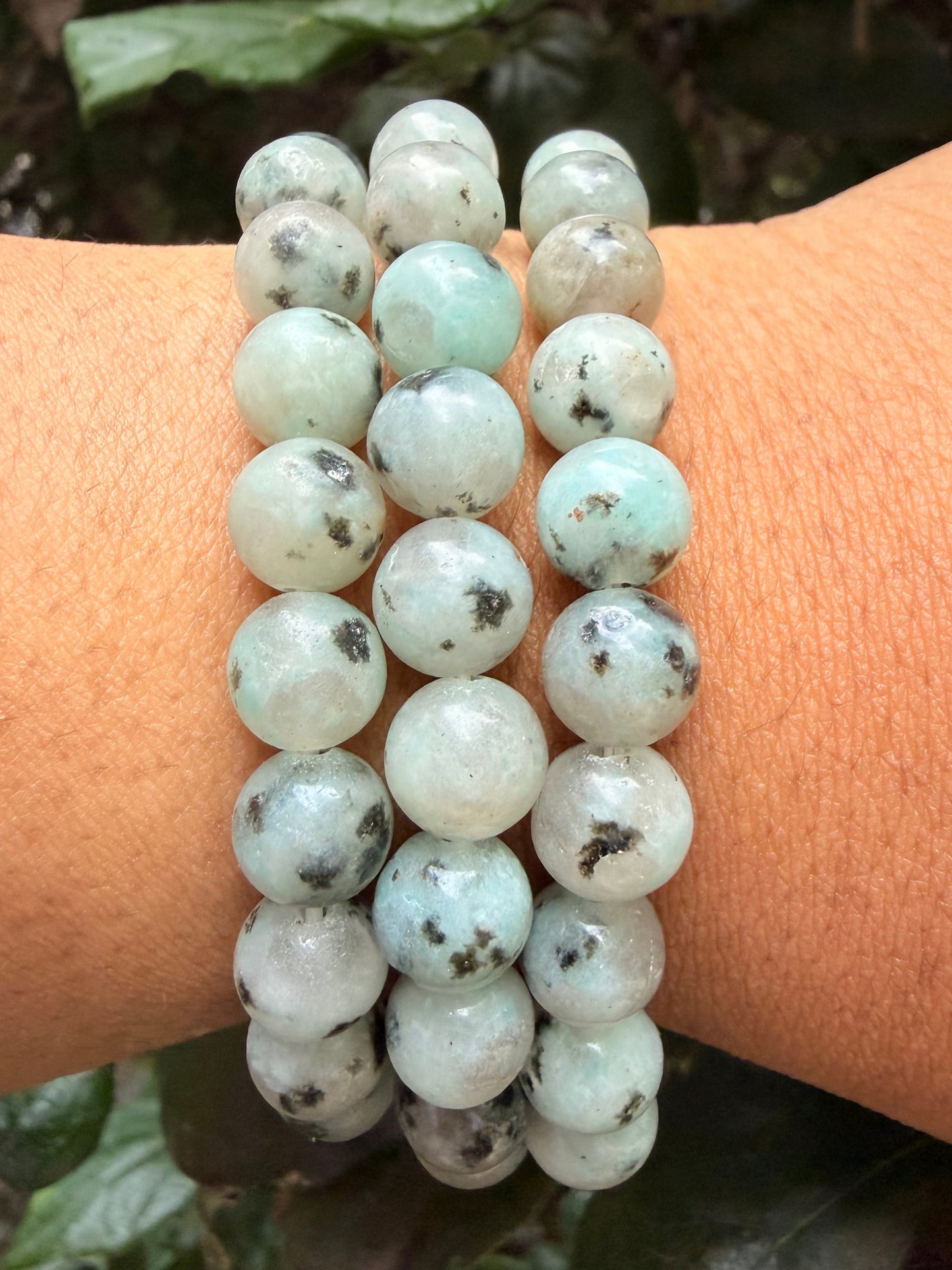 Kiwi Jasper