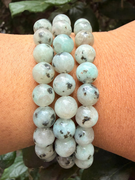 Kiwi Jasper